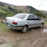 پژو 405 جی ال ایکس (GLX)، مدل ۱۳۸۵