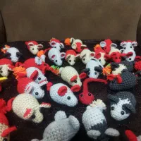 موش|لوازم جانبی حیوانات|لاهیجان, انقلاب|دیوار