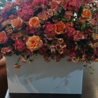 گل طبیعی|گل و گیاه طبیعی|اصفهان, پوریای ولی|دیوار