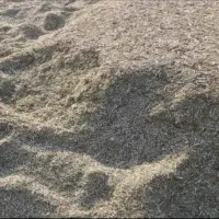 کاه ماش و لوبیا|حیوانات مزرعه|دهدشت, |دیوار