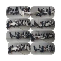 جوجه رنگی دسته ۲۳تایی