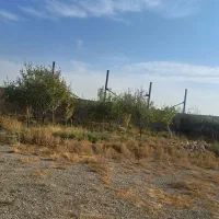 یک باب گاوداری ۳۵رسی گوشتی بفروش میرسد|فروش دفتر صنعتی، کشاورزی، تجاری|دشتابی, |دیوار