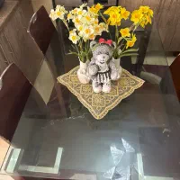 میز ناهار خوری|میز و صندلی غذاخوری|کرج, باغستان|دیوار