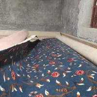 موکت فروشی|موکت|زابل, |دیوار