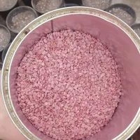 بذر گوجه کارون فلات شرکتی تضمینی|گل و گیاه طبیعی|مشهد, انبارنفت|دیوار