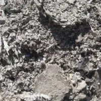 فروش کود کبوتر خالص به ضمانت