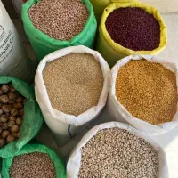 خشکبار افشاری