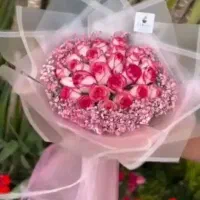 پخش گل رز هلندی