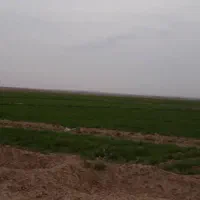 مزرعه-حاجی-آباد-شهرکرد