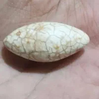 مهره