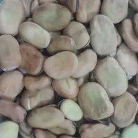 فروش بذر باقالا|خوردنی و آشامیدنی|دلند, |دیوار