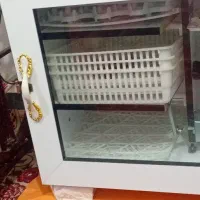 دستگاه جوجه کشی|لوازم جانبی حیوانات|اهواز, اسلام آباد غربی|دیوار