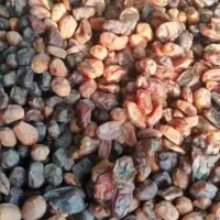 خرمای آبگیری. شیره گیری