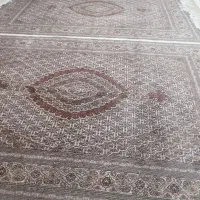 جفت فرش ماهی رج 40 خوی|فرش|کرمانشاه, |دیوار