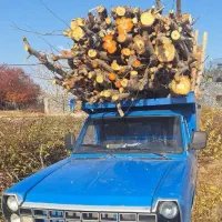 خرید و برش انواع چوب|خدمات باغبانی و درختکاری|نقده, |دیوار