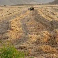 کاه فروشی|عمدهفروشی|تایباد, |دیوار