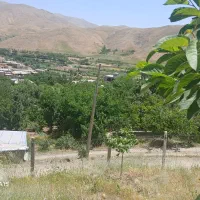 باغ و دامپروری|فروش دفتر صنعتی، کشاورزی، تجاری|سنندج, |دیوار