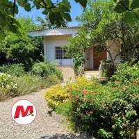 فروش-باغ-منطقه-جنگلی-نور