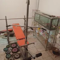 سرگرمی حیوان ماهی|ماهی|اراک, |دیوار