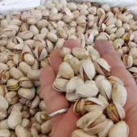 خشک دامغان|خوردنی و آشامیدنی|تهران, بهداشت|دیوار