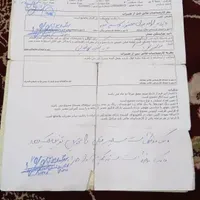 پارس مدل هشتاد پنح|خودرو سواری و وانت|تهران, شهادت|دیوار