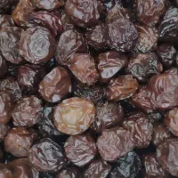 مرجع فرآوری انواع آلو و خشکبار و حبوبات