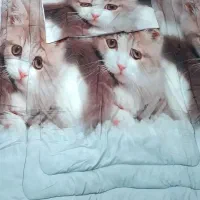 لحاف نوجوان