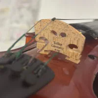 فروش ویولن TF 4/4