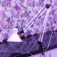 دو عدد چراغ رو میزی