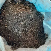 کود گوسفندی خالص خشک شده کیسه زده