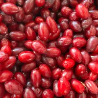 ذغال اخته الموت