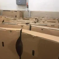 قطعات بدنه bmw|قطعات یدکی و لوازم جانبی|کرج, ساسانی (قلمستان)|دیوار