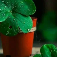 فروش وام مهربانی