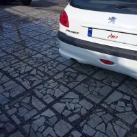 ۲۰۶ مدل ۱۳۹۵بی رنگ|خودرو سواری و وانت|رشت, کاکتوس|دیوار