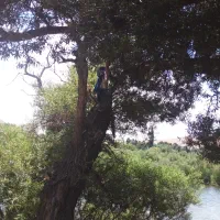 اجاره زمین کشاورزی