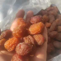 الو بخارا ارگانیک