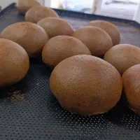 نان های حجیم فانتزی|خوردنی و آشامیدنی|آستارا, |دیوار