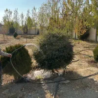 باغ ۲ کله ۳ بحر ۱۰۰۰ متر تهراندشت تخفیف دار|فروش دفتر صنعتی، کشاورزی، تجاری|کرج, فاز ۱ مهرشهر|دیوار