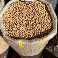 نخود و لوبیا و تخمه|خوردنی و آشامیدنی|تهران, مولوی|دیوار