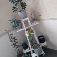 پایه گل