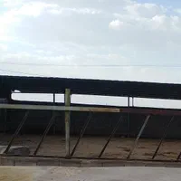 فروش گاوداری8000متری باپروانه120راسی(60مولد)بردسیر