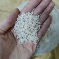 برنج هاشمی اعلا