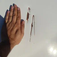 پرایدبار 151 مدل 95