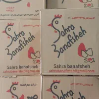استخدام‌ نیرو و راننده جهت پخش تخم مرغ