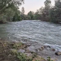 زمین مجلسی محله هنربلوارفرشچیان