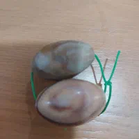 سه جفت مهره اصلی