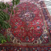 فرش|فرش|ارومیه, |دیوار