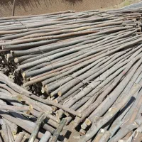 فروش چوب کپری شلاقی