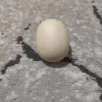 سنگ اسیاب الماس اصلی با تست|کلکسیون اشیاء عتیقه|مشهد, بهمن|دیوار