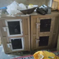 قفس کبوتر